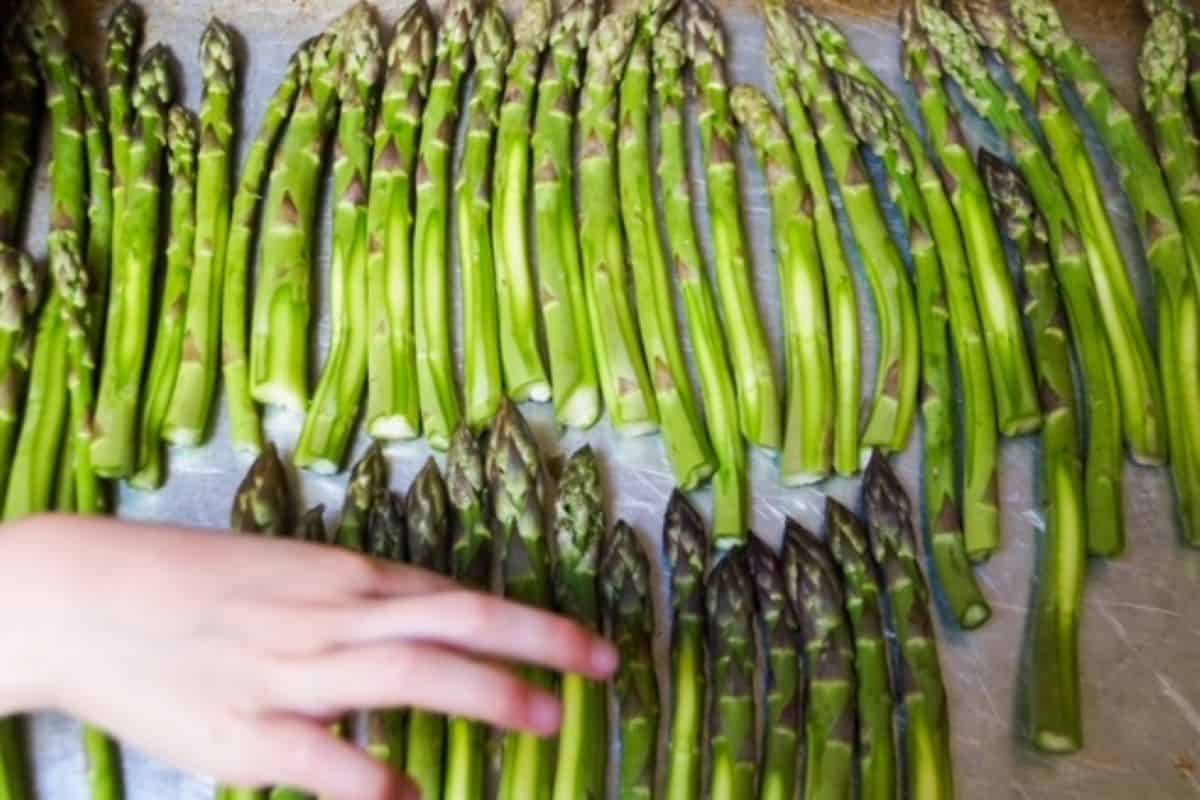 Several spears of asparagus in two rows on a baking sheet, ready for the oven.