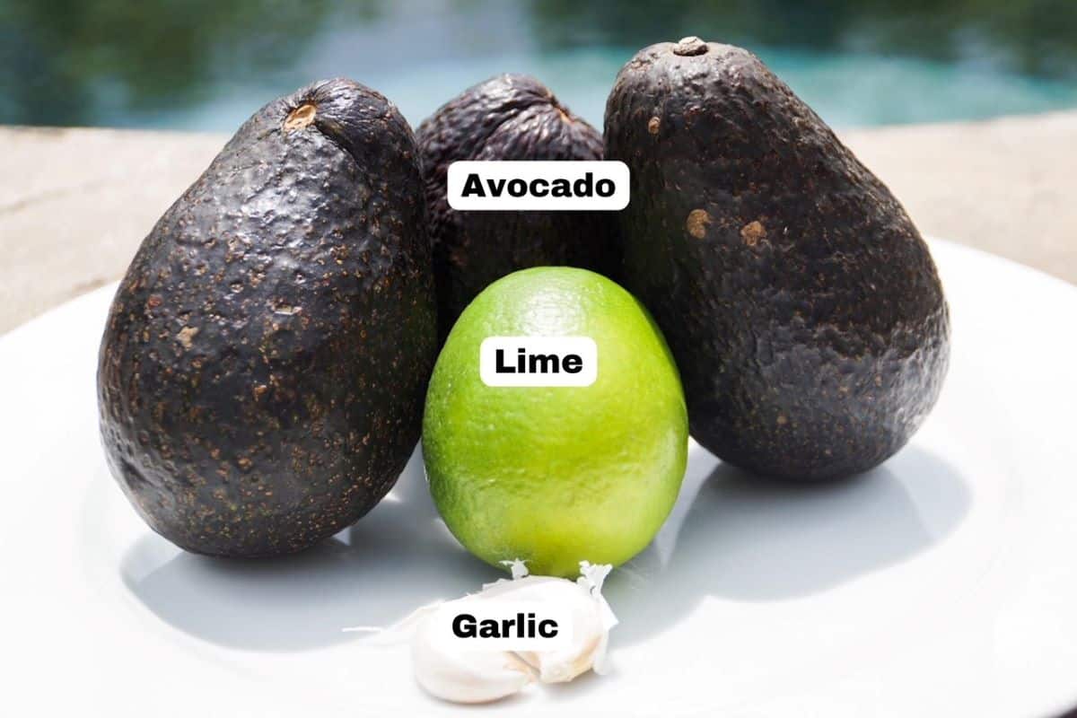 Three avocados, one lime, and two cloves of garlic on a white plate.