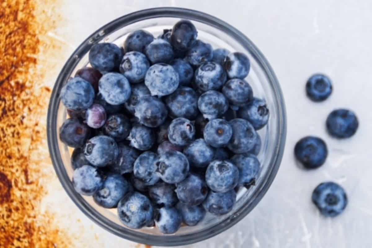 Bowl of blueberries on a baking sheet.