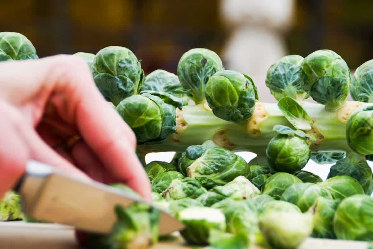 Hand using a knife to cut and end off of a Brussel sprout