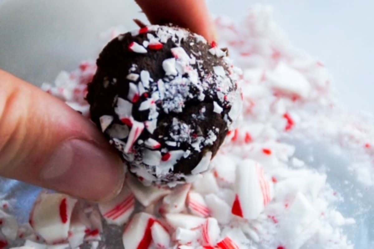 Truffle dipped in crushed candycane piecdes.