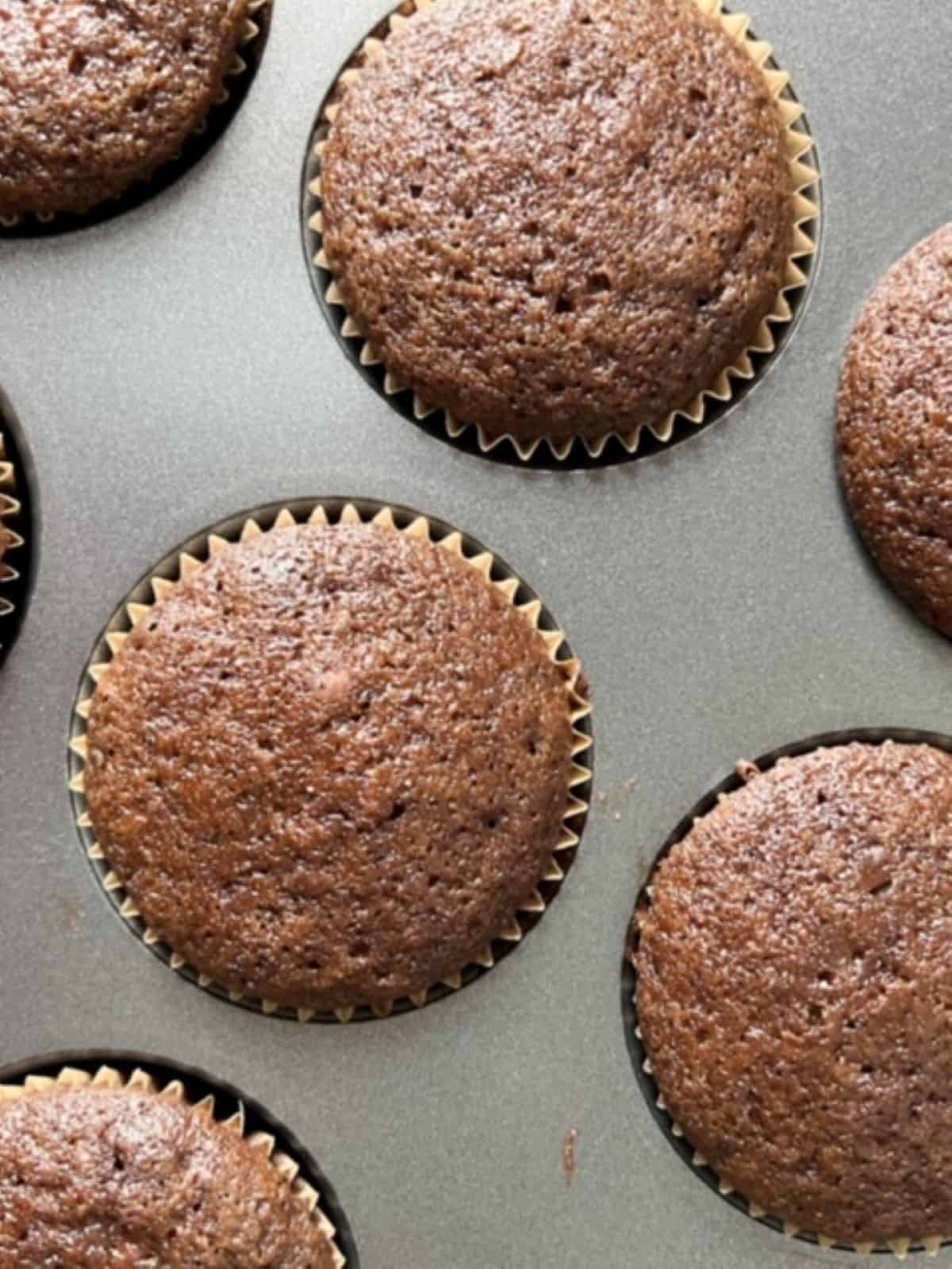 Two whole and five partial chocolate cupcakes in a lined muffin tin.
