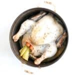 A whole roasted chicken stuffed with carrots and celery in a white Dutch oven.