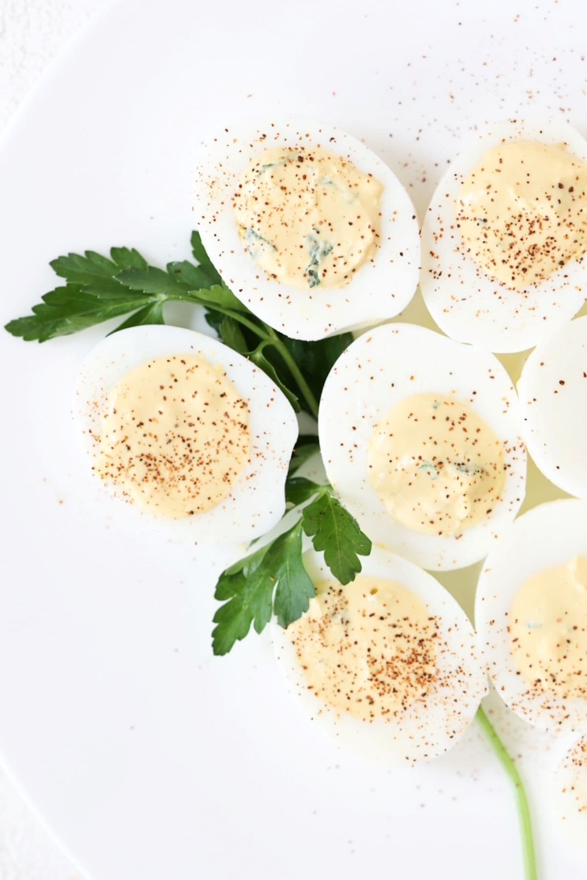 Five deviled eggs over a sprig of fresh flat leaf parsley.