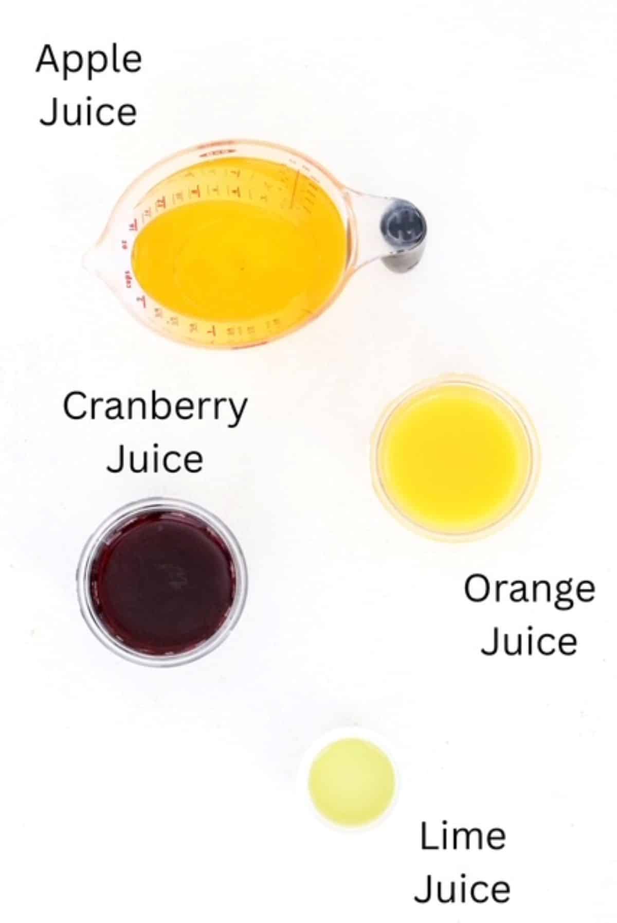 Non-Alcoholic Christmas Holiday Punch ingredients, labeled.